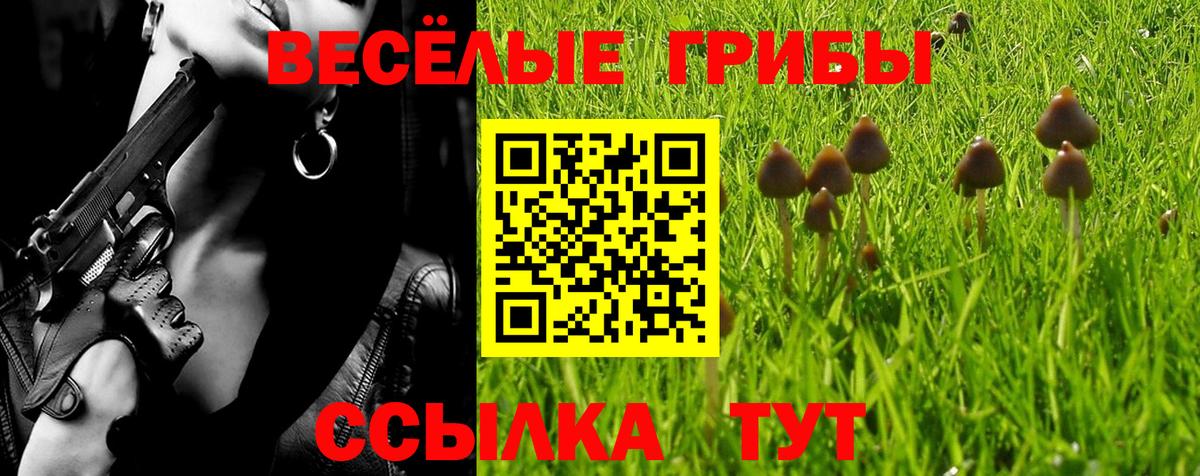 Протвино  сколько стоит  Галлюциногенные грибы мухоморы  Вход с VPN  Галлюциногенные грибы GOLDEN TEACHER 